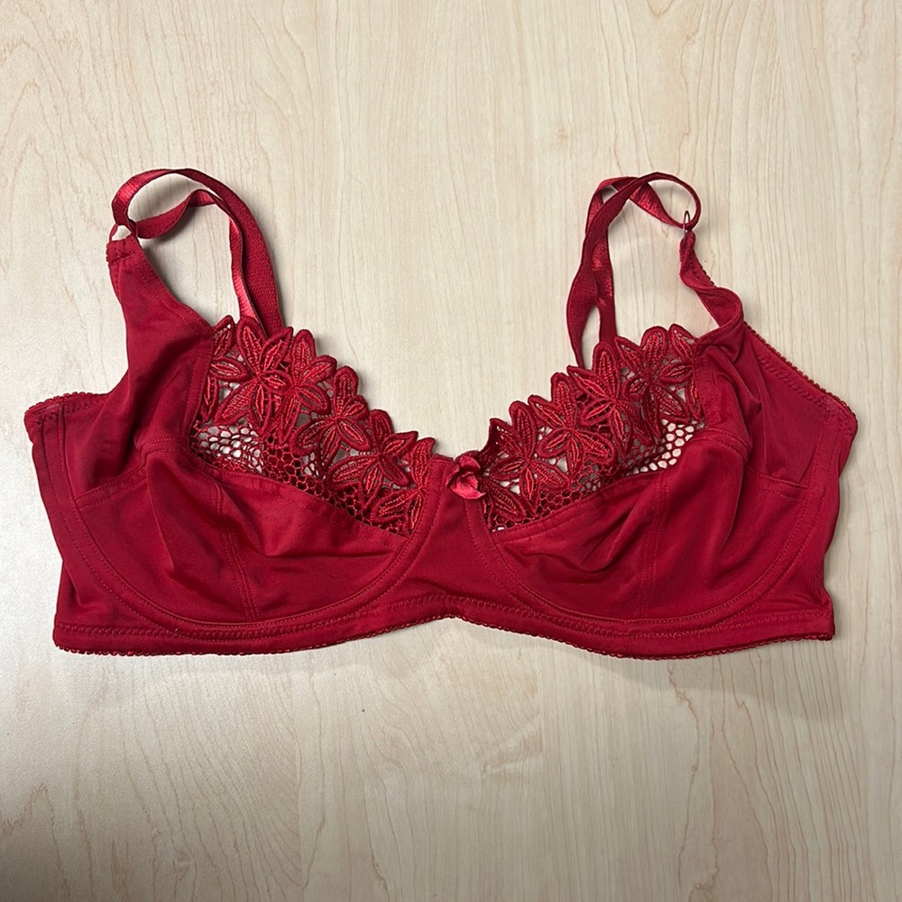 Delta Burke Red Lace Bra Holiday Festive